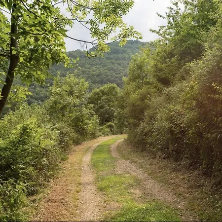 Mas Caraus Montferrer