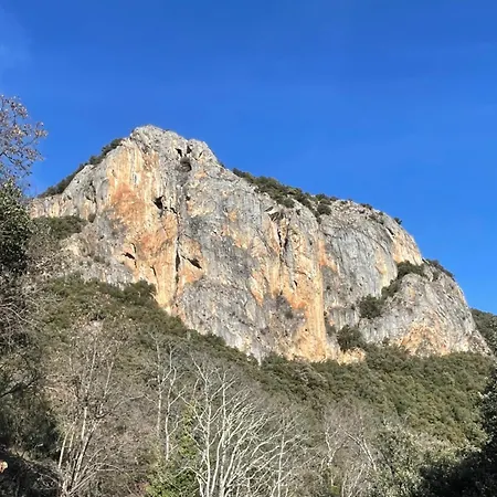 Mas Caraus * Montferrer