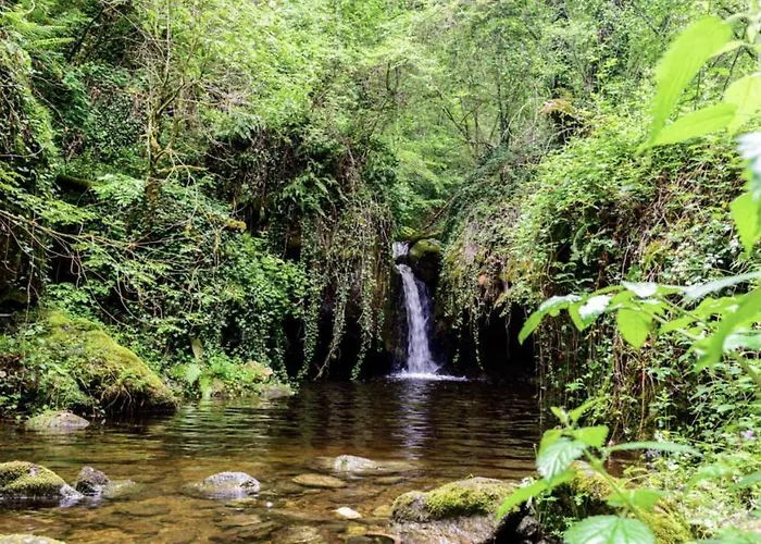 דירה Mas Caraus Montferrer