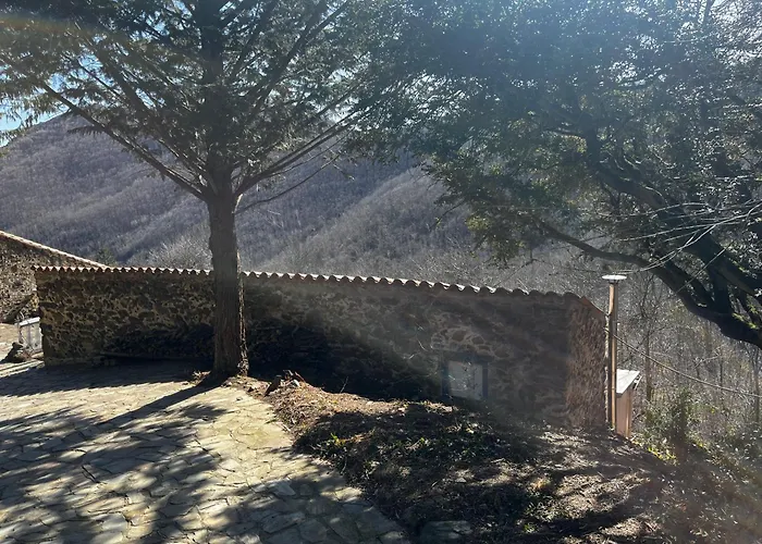 Mas Caraus דירה Montferrer